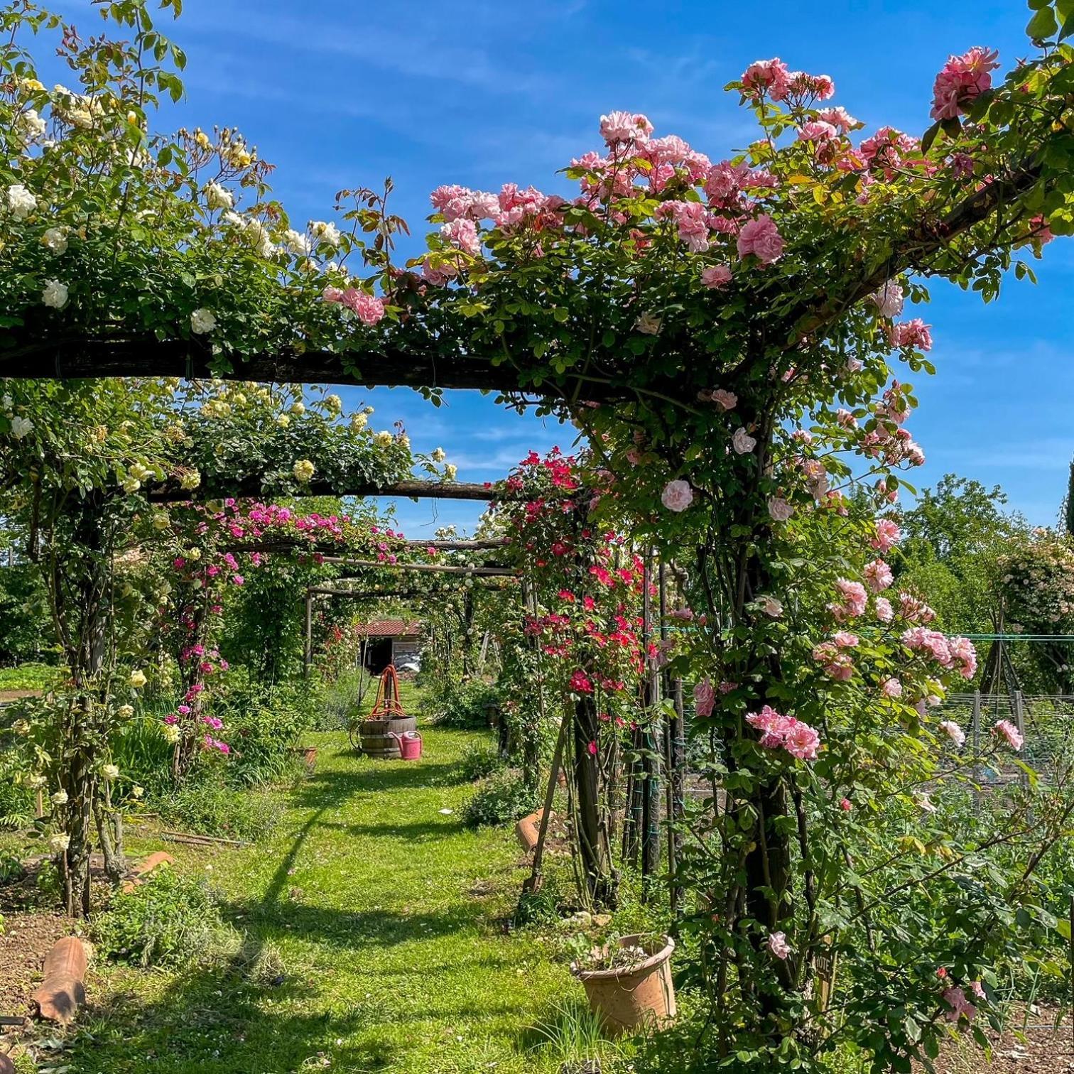 Landhaus Maso Di Relais Di Campagna