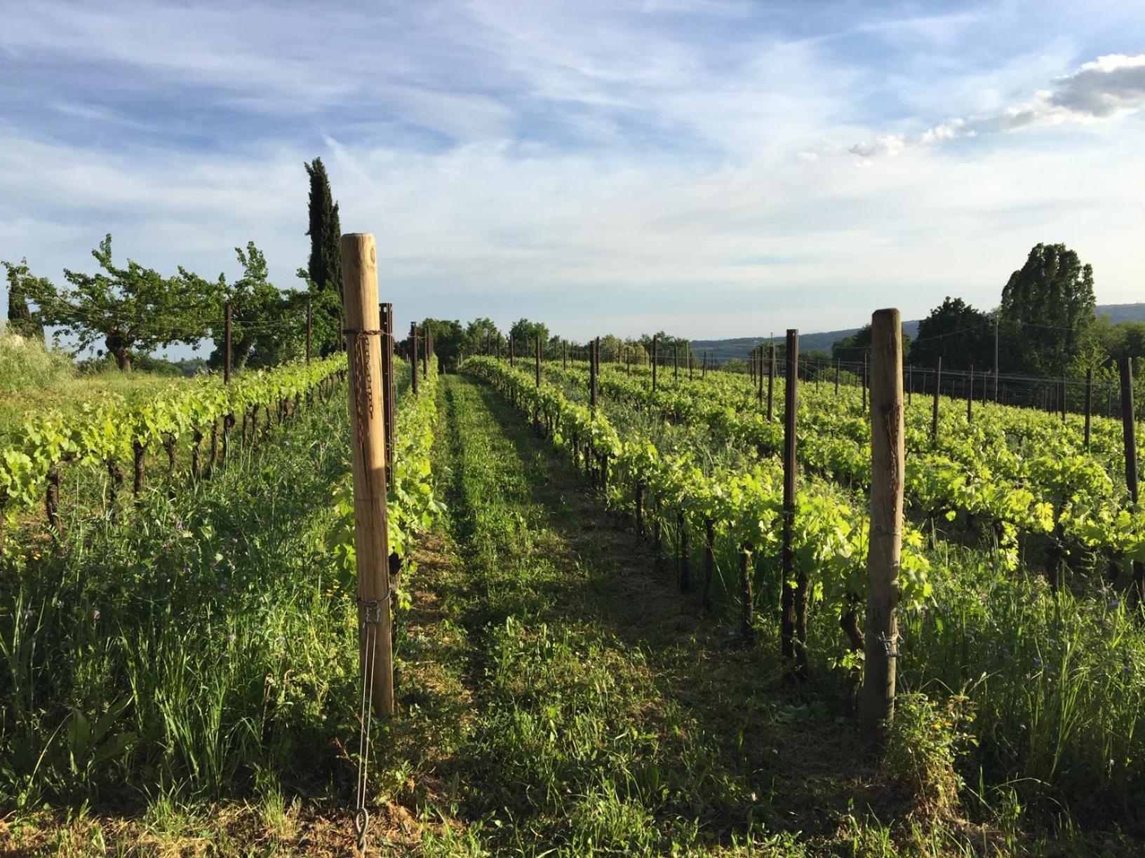 Landhaus Maso Di Relais Di Campagna Susegana