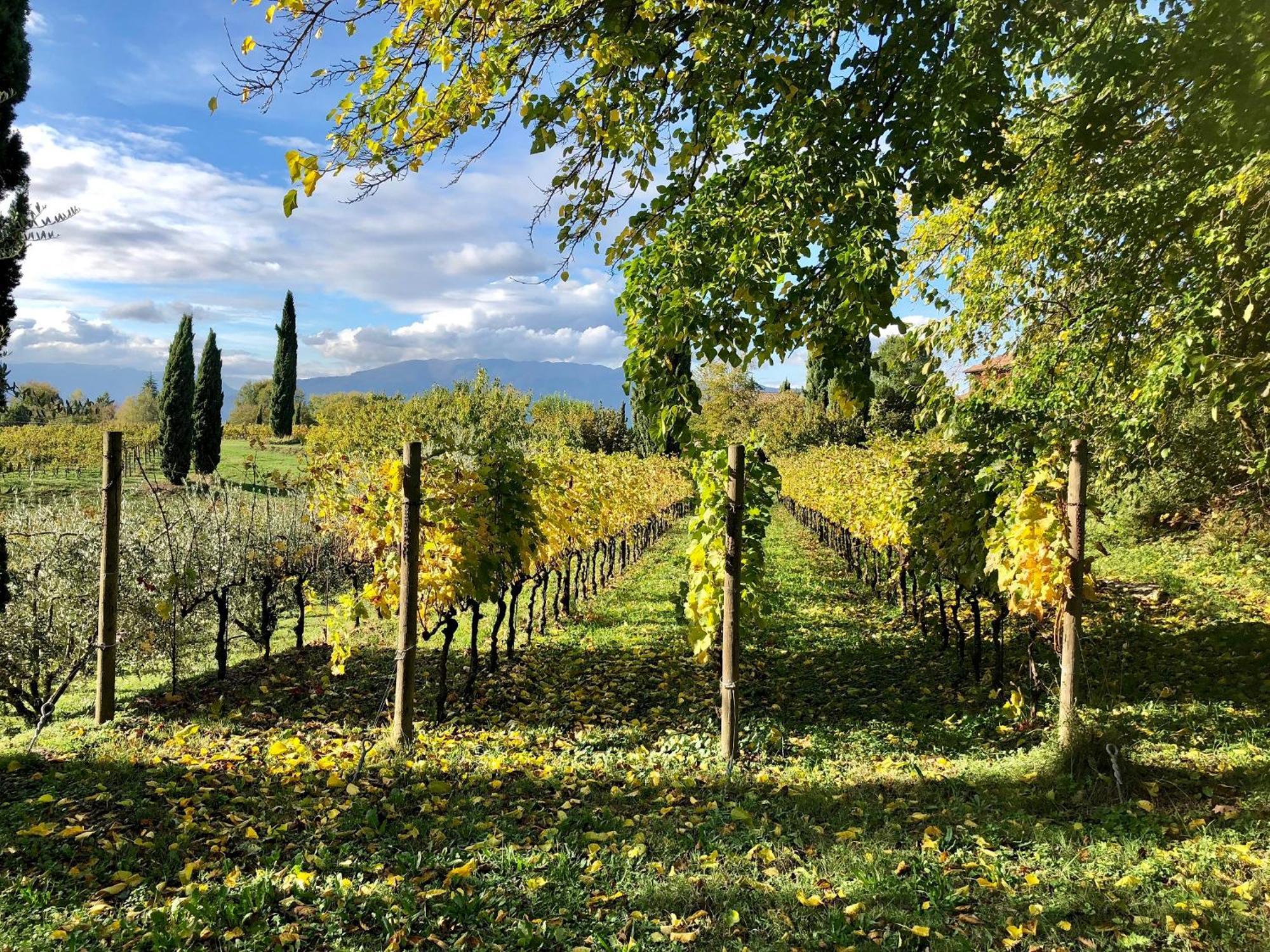 Landhaus Maso Di Relais Di Campagna